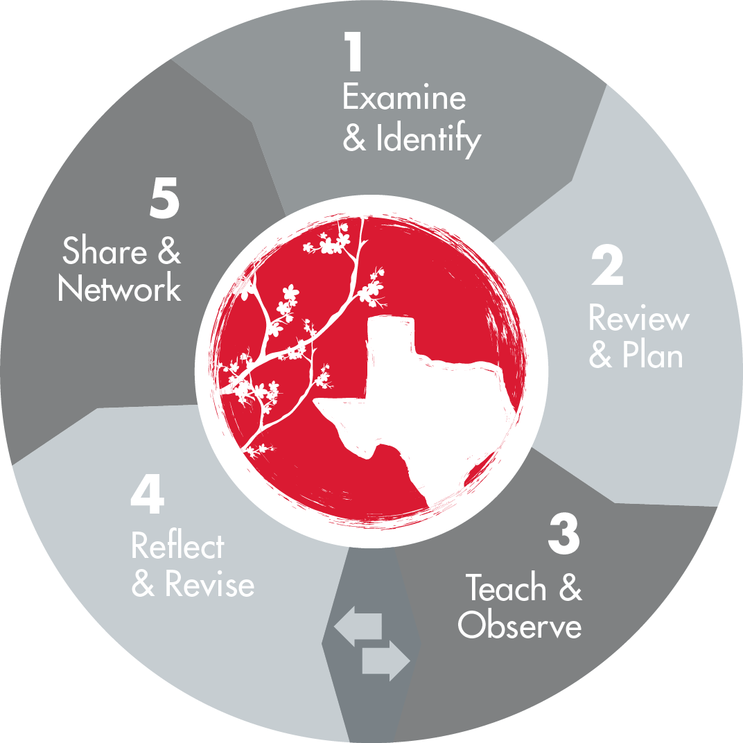 TEXAS LESSON STUDY  5 PHASES - 1. Examine & Identify, 2. Review & Plan, 3. Teach & Observe, 4. Reflect & Revise and 5. Share & Network,  where phase 0 is visually selected