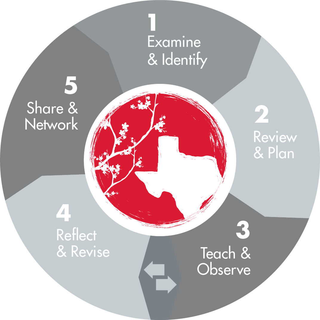 TEXAS LESSON STUDY  5 PHASES - 1. Examine & Identify, 2. Review & Plan, 3. Teach & Observe, 4. Reflect & Revise and 5. Share & Network,  where phase 0 is visually selected