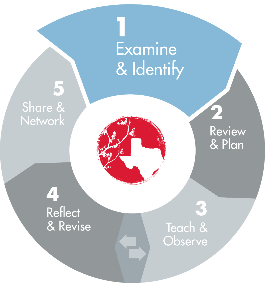 TEXAS LESSON STUDY  5 PHASES - 1. Examine & Identify, 2. Review & Plan, 3. Teach & Observe, 4. Reflect & Revise and 5. Share & Network,  where phase 1 is visually selected