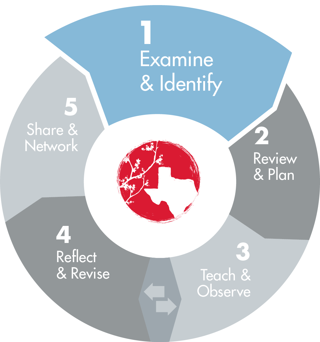 TEXAS LESSON STUDY  5 PHASES - 1. Examine & Identify, 2. Review & Plan, 3. Teach & Observe, 4. Reflect & Revise and 5. Share & Network,  where phase 1 is visually selected