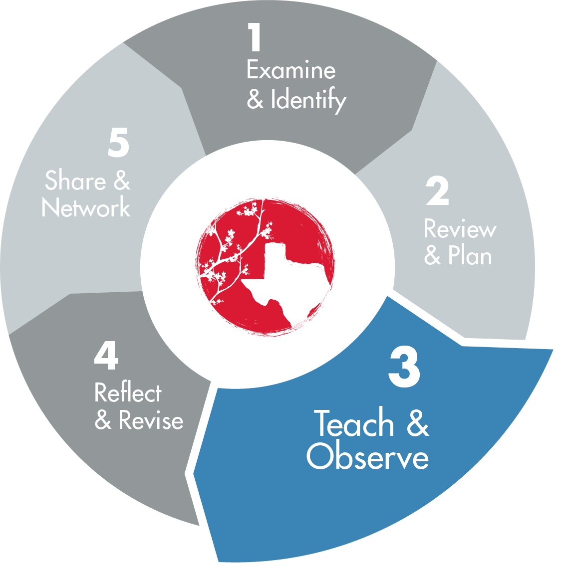 TEXAS LESSON STUDY  5 PHASES - 1. Examine & Identify, 2. Review & Plan, 3. Teach & Observe, 4. Reflect & Revise and 5. Share & Network,  where phase 3 is visually selected
