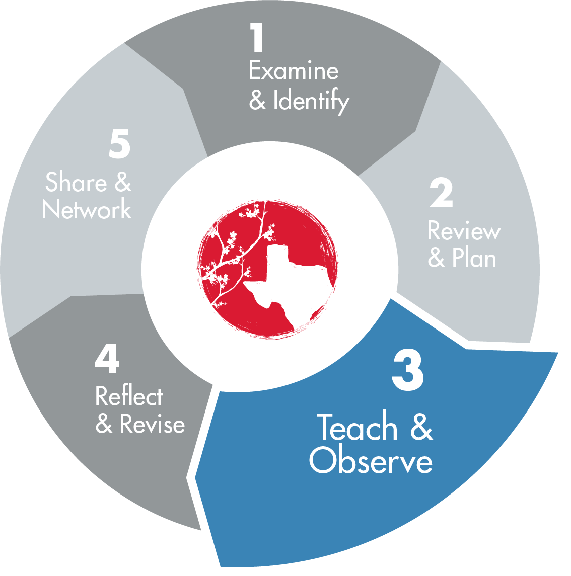 TEXAS LESSON STUDY  5 PHASES - 1. Examine & Identify, 2. Review & Plan, 3. Teach & Observe, 4. Reflect & Revise and 5. Share & Network,  where phase 3 is visually selected