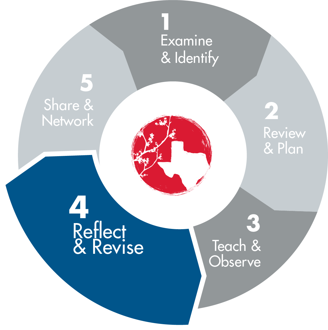 TEXAS LESSON STUDY  5 PHASES - 1. Examine & Identify, 2. Review & Plan, 3. Teach & Observe, 4. Reflect & Revise and 5. Share & Network,  where phase 4 is visually selected